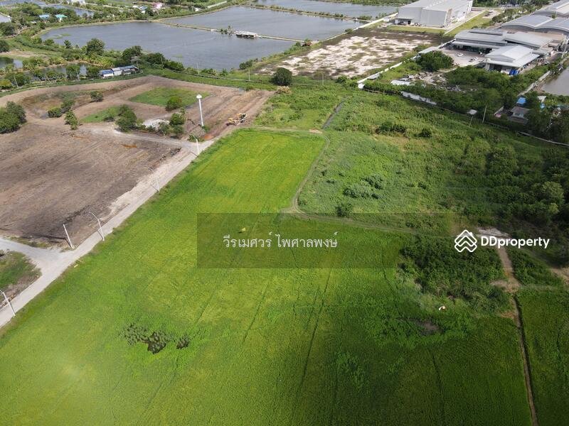 ขายถูก ที่ดินเส้นบางนา-ตราด ต.บางเสาธง จ.สมุทรปราการ (ผังสีม่วง : Zone อุตสาหกรรม) 35 ไร่ 