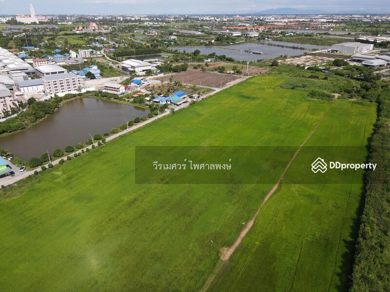 ขายถูก ที่ดินเส้นบางนา-ตราด ต.บางเสาธง จ.สมุทรปราการ (ผังสีม่วง : Zone อุตสาหกรรม) 35 ไร่ 