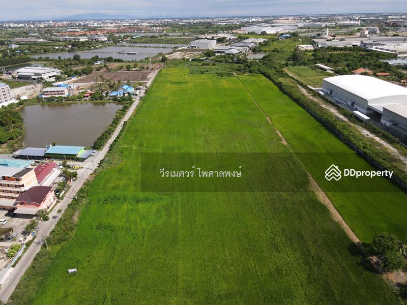 ขายถูก ที่ดินเส้นบางนา-ตราด ต.บางเสาธง จ.สมุทรปราการ (ผังสีม่วง : Zone อุตสาหกรรม) 35 ไร่ 