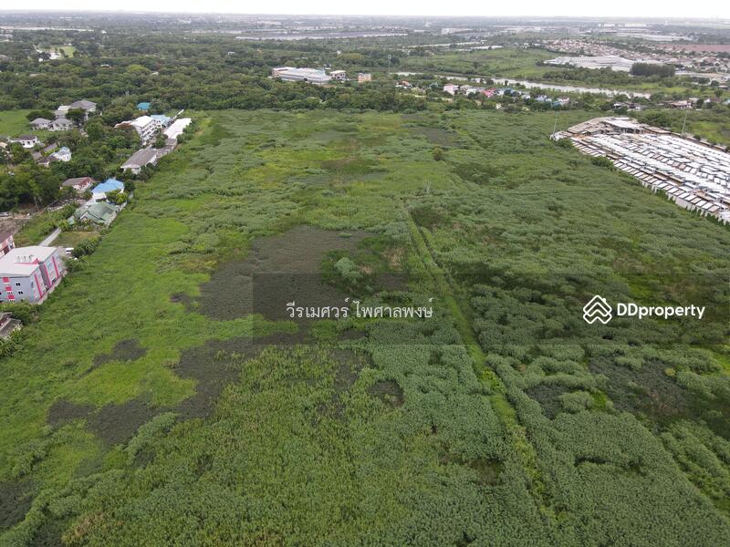ขายที่ดิน ลาดกระบัง ติดถนนลาดกระบัง—ใกล้สุวรรณภูมิ Airport (เหมาะสร้างโครงการจัดสรร) 83-2-28 ไร่ 