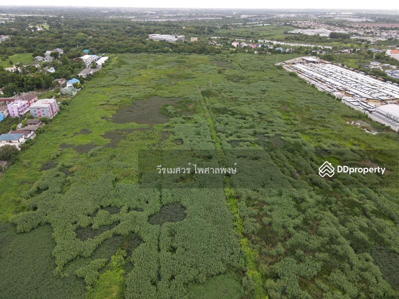 ขายที่ดิน ลาดกระบัง ติดถนนลาดกระบัง—ใกล้สุวรรณภูมิ Airport (เหมาะสร้างโครงการจัดสรร) 83-2-28 ไร่ 