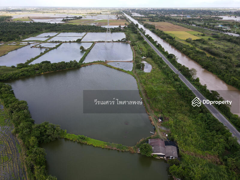 ขายถูก ที่ดิน ต.วังศาลา จ.กาญจนบุรี—984 ไร่ (เหมาะสร้างโรงงานอุตสาหกรรม) 