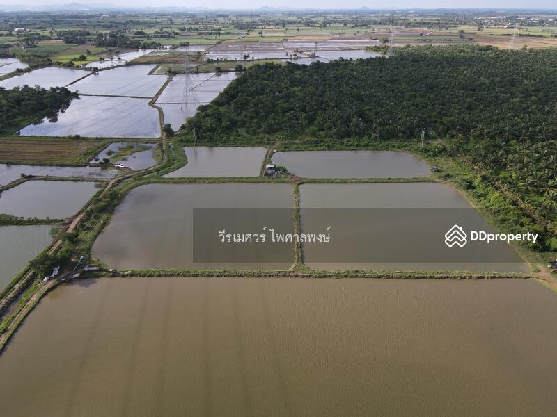 ขายถูก ที่ดิน ต.วังศาลา จ.กาญจนบุรี—984 ไร่ (เหมาะสร้างโรงงานอุตสาหกรรม) 