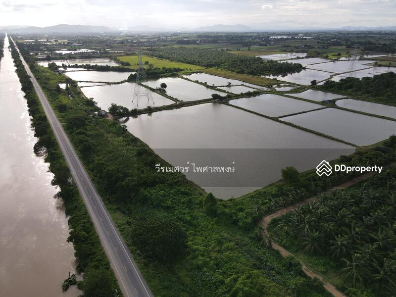 ขายถูก ที่ดิน ต.วังศาลา จ.กาญจนบุรี—984 ไร่ (เหมาะสร้างโรงงานอุตสาหกรรม) 