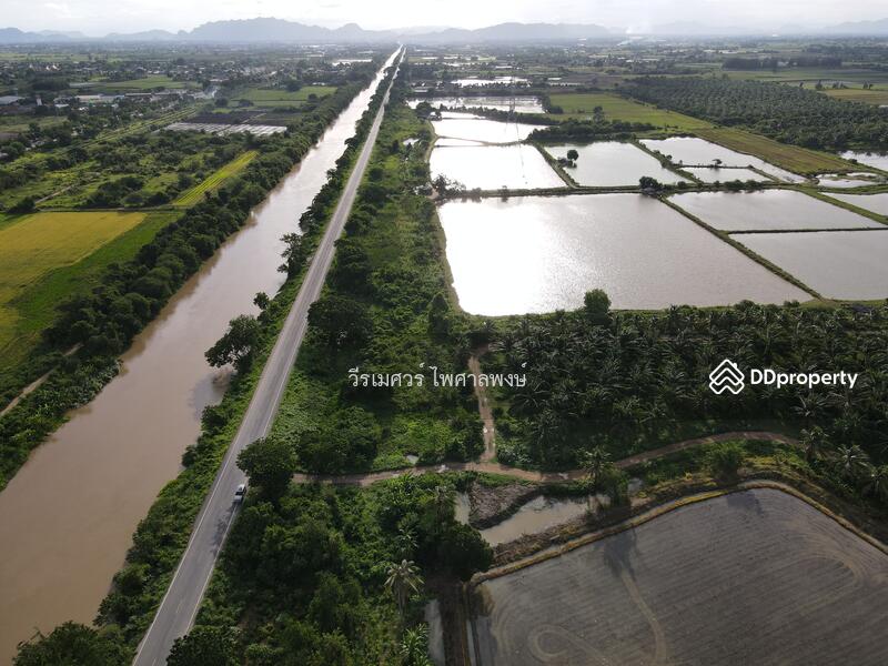 ขายถูก ที่ดิน ต.วังศาลา จ.กาญจนบุรี—984 ไร่ (เหมาะสร้างโรงงานอุตสาหกรรม) 