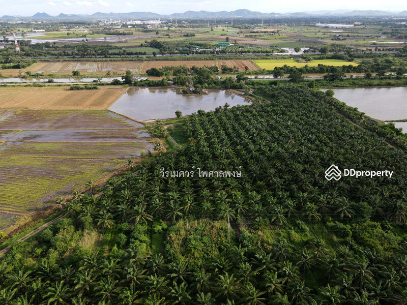 ขายถูก ที่ดิน ต.วังศาลา จ.กาญจนบุรี—984 ไร่ (เหมาะสร้างโรงงานอุตสาหกรรม) 