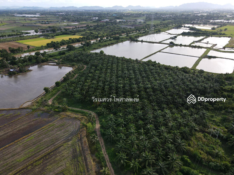 ขายถูก ที่ดิน ต.วังศาลา จ.กาญจนบุรี—984 ไร่ (เหมาะสร้างโรงงานอุตสาหกรรม) 