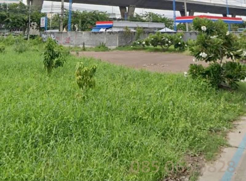 Land for Rent, 672 sq.m, near Bangna-Trad Road, Bangna, 2 km from Sukhumvit, Bangkok, บางนา-ตราด ซอย 19 แยก 1, Bang Na, Bangkok, , 672 sqm, Land For Rent, by Jirapan Siripraiwan, 9331937 - DDproperty.com