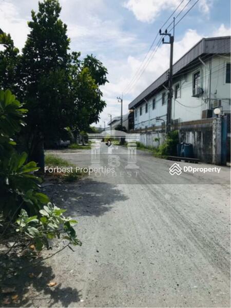 ขาย - 41121 - ขายโกดังขายพร้อมผู้เช่า ถนนเทพารักษ์ , บางปลา ใกล้สนามบินสุวรรณภูมิ เนื้อที่ 300 ตารางวา | 41121