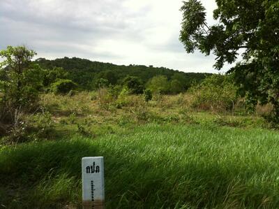 ขาย - ที่ดินเปล่า, ประจวบคีรีขันธ์