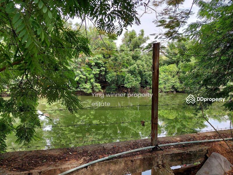 ขาย - ขายที่ดินทำเลลำลูกกา 1 ใกล้สนามกอล์ฟธูปเตมีย์ เนื้อที่ 4-3-7 ไร่ (ถมแล้ว), ปทุมธานี