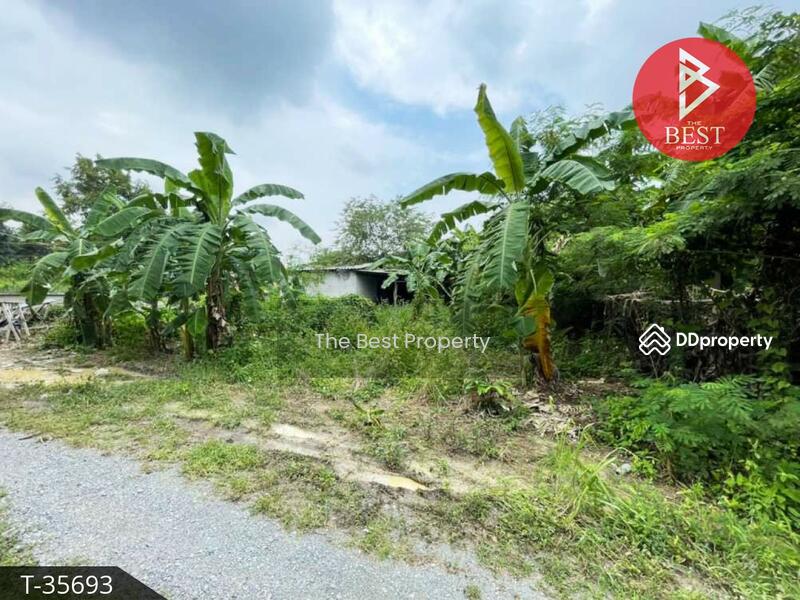 For Sale - บางละมุง ชลบุรี, Chon Buri