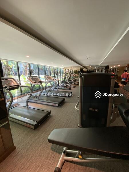 Vtara Sukhumvit 36, Bangkok, 118 Soi Saen Sabai, Phra Kanong, Khlong Toei, Bangkok, 1 Bedroom, 29 sqm, Condo For Sale, by FOR SALE O87O971483, 9405238 - DDproperty.com