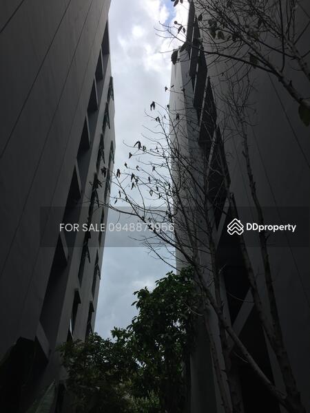 Vtara Sukhumvit 36 : วีธารา สุขุมวิท 36, กรุงเทพ, 118 ซอยแสนสบาย, พระโขนง, คลองเตย, กรุงเทพ, 29 ตร.ม., คอนโด ขาย, โดย FOR SALE O87O971483, 9405238 - DDproperty.com
