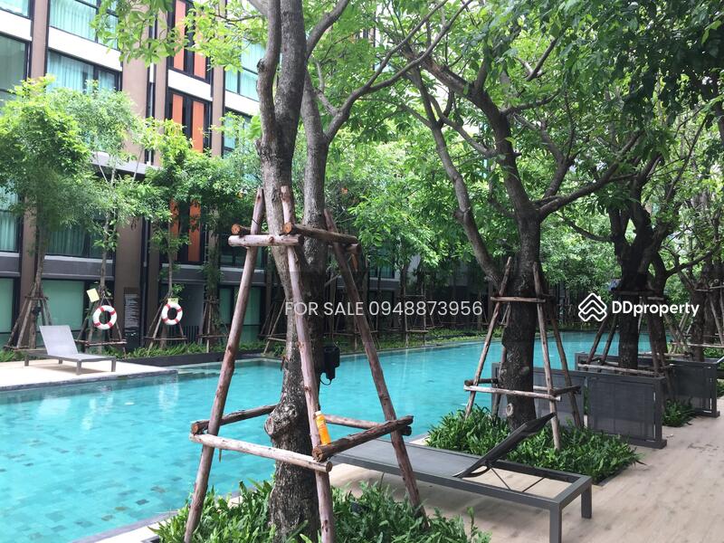 Vtara Sukhumvit 36, Bangkok, 118 Soi Saen Sabai, Phra Kanong, Khlong Toei, Bangkok, 1 Bedroom, 29 sqm, Condo For Sale, by FOR SALE O87O971483, 9405238 - DDproperty.com