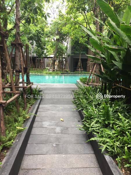 Vtara Sukhumvit 36, Bangkok, 118 Soi Saen Sabai, Phra Kanong, Khlong Toei, Bangkok, 1 Bedroom, 29 sqm, Condo For Sale, by FOR SALE O87O971483, 9405238 - DDproperty.com
