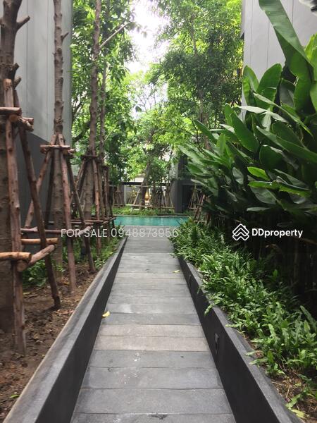 Vtara Sukhumvit 36 : วีธารา สุขุมวิท 36, กรุงเทพ, 118 ซอยแสนสบาย, พระโขนง, คลองเตย, กรุงเทพ, 29 ตร.ม., คอนโด ขาย, โดย FOR SALE O87O971483, 9405238 - DDproperty.com