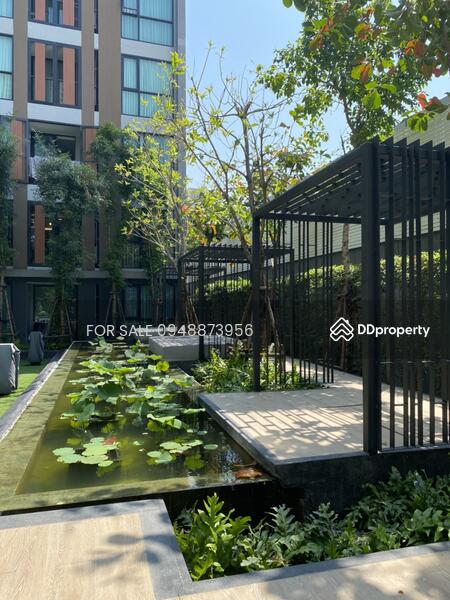Vtara Sukhumvit 36, Bangkok, 118 Soi Saen Sabai, Phra Kanong, Khlong Toei, Bangkok, 1 Bedroom, 29 sqm, Condo For Sale, by FOR SALE O87O971483, 9405238 - DDproperty.com
