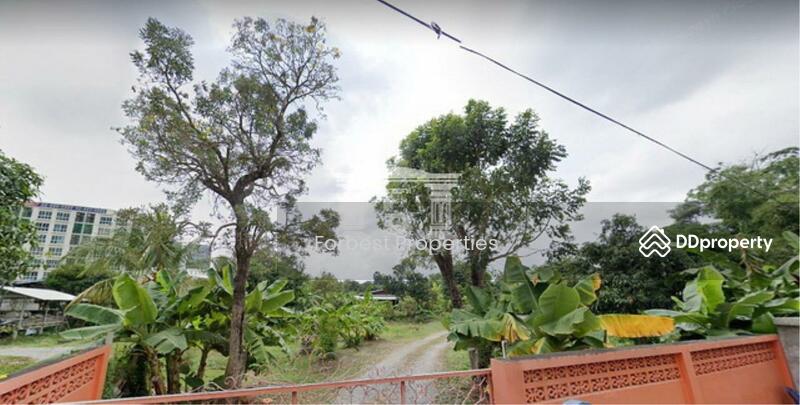 For Sale - 41179 - Land for sale with 2 houses on Ratchaphruek Road, near MRT Purple Line, Bang Rak Yai Station. | 41179