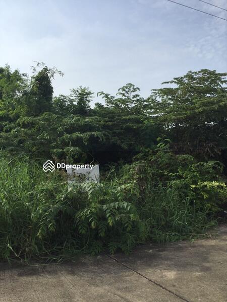 ขาย - Moobaan Parichard 345 : หมู่บ้านปาริชาติ 345, ปทุมธานี