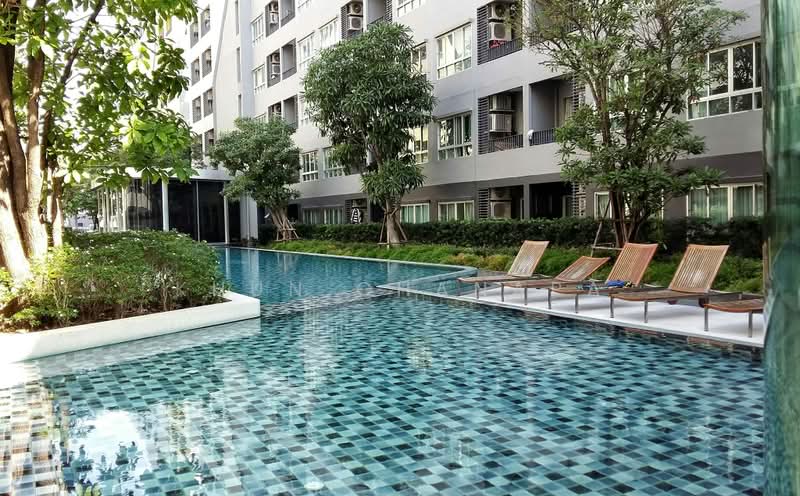 Elio Sukhumvit 64 : เอลลิโอ สุขุมวิท 64, กรุงเทพ, 99 ซอยสุขุมวิท 64, บางจาก, พระโขนง, กรุงเทพ, 24 ตร.ม., คอนโด ให้เช่า, โดย Khun Chanapa, 9461677 - DDproperty.com