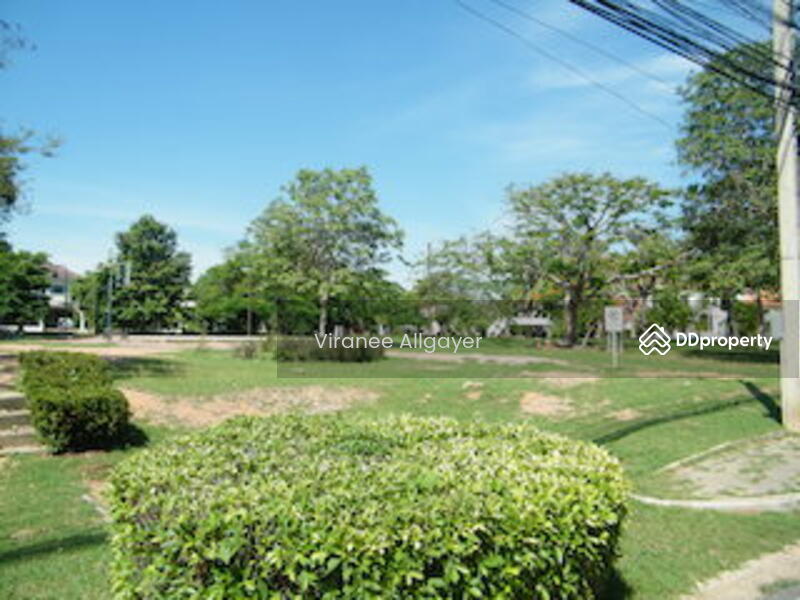 ขาย - ขายบ้านเดี่ยว, นครราชสีมา