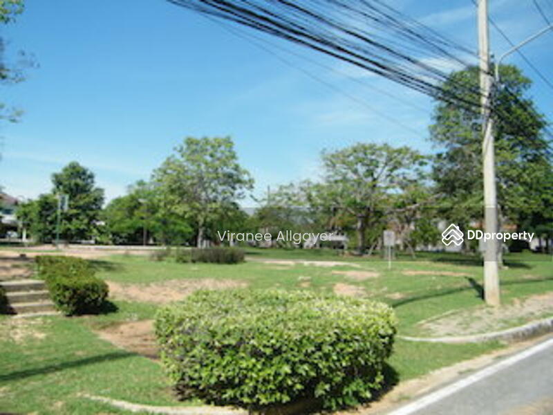 ขาย - ขายบ้านเดี่ยว, นครราชสีมา