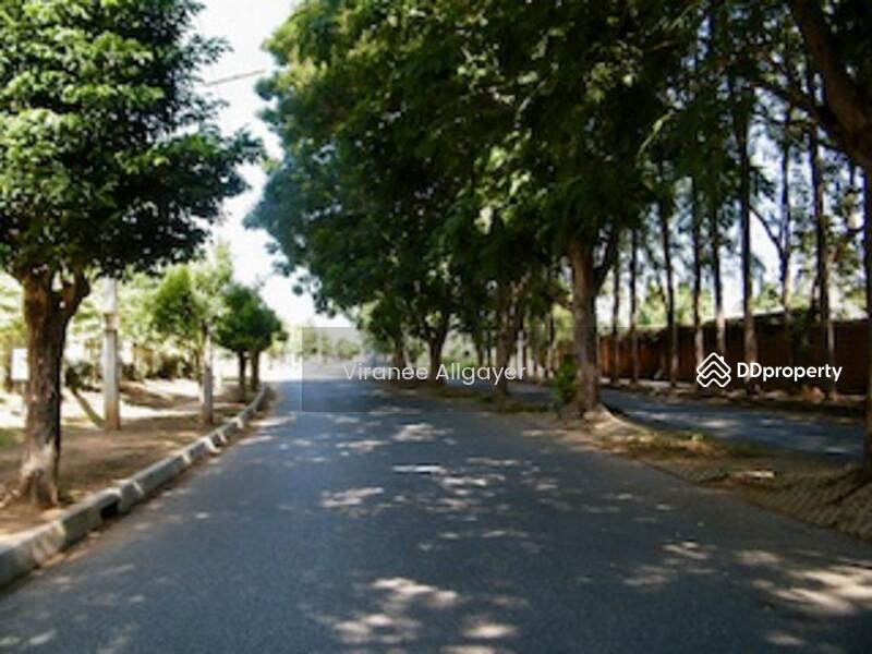 ขาย - ขายบ้านเดี่ยว, นครราชสีมา