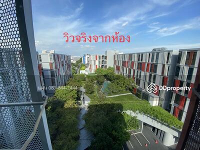 ขาย - Taka Haus : ทากะ เฮาส์, กรุงเทพ