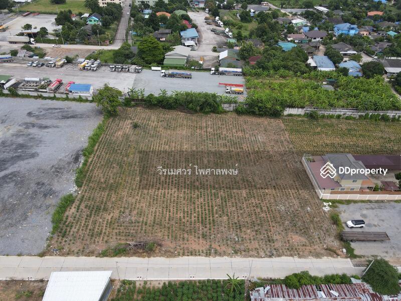 ขายถูกมาก! ที่ดินใกล้ท่าเรือแหลมฉบัง อ.ศรีราชา จ.ชลบุรี (เหมาะสร้างโกดังและคลังสินค้า) 3-1-96 ไร่ 