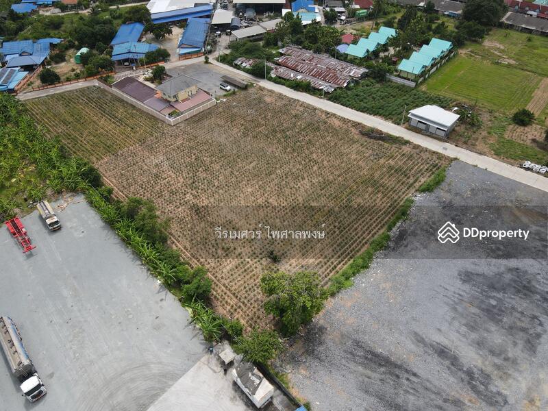 ขายถูกมาก! ที่ดินใกล้ท่าเรือแหลมฉบัง อ.ศรีราชา จ.ชลบุรี (เหมาะสร้างโกดังและคลังสินค้า) 3-1-96 ไร่ 