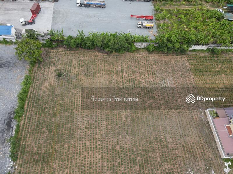 ขายถูกมาก! ที่ดินใกล้ท่าเรือแหลมฉบัง อ.ศรีราชา จ.ชลบุรี (เหมาะสร้างโกดังและคลังสินค้า) 3-1-96 ไร่ 