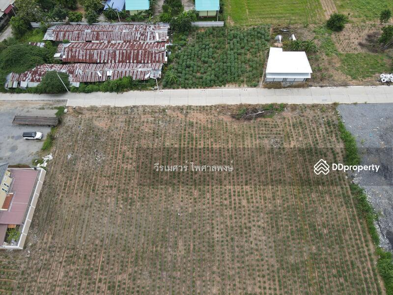 ขายถูกมาก! ที่ดินใกล้ท่าเรือแหลมฉบัง อ.ศรีราชา จ.ชลบุรี (เหมาะสร้างโกดังและคลังสินค้า) 3-1-96 ไร่