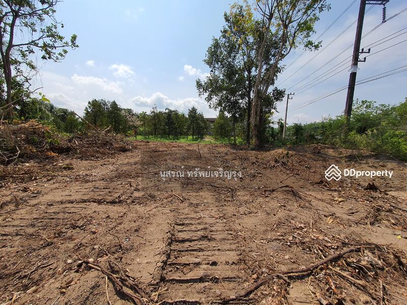 For Sale - ที่ดินเปล่า ต.บ่อ อ.ขลุง จ.จันทบุรี ติดถนนสุุุขุมวิท, Chanthaburi