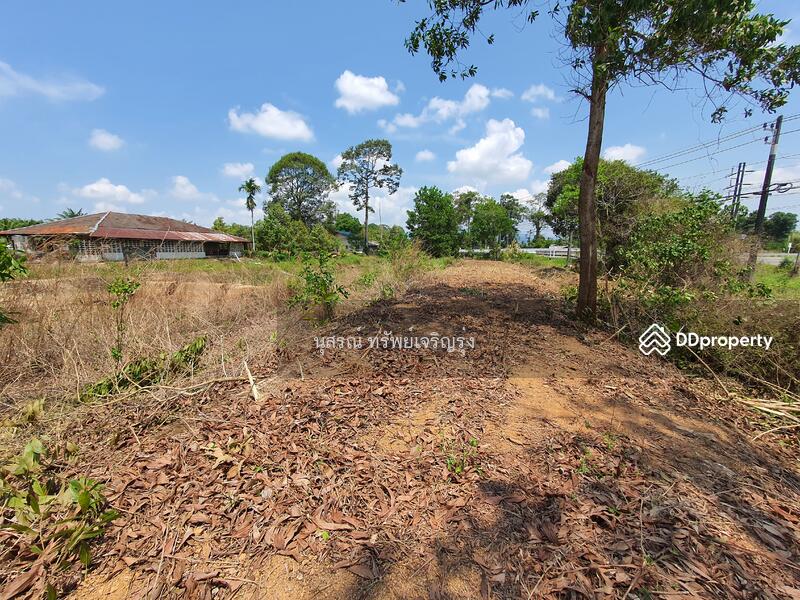 For Sale - ที่ดินเปล่า ต.บ่อ อ.ขลุง จ.จันทบุรี ติดถนนสุุุขุมวิท, Chanthaburi