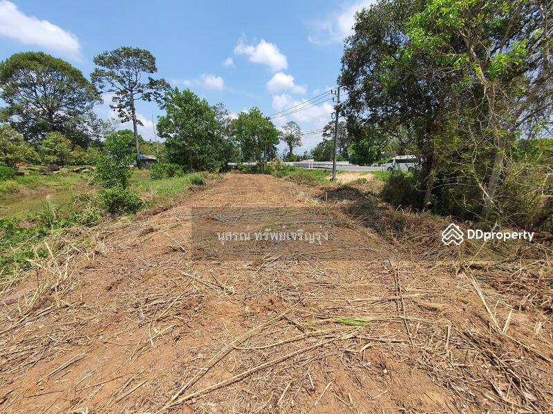 For Sale - ที่ดินเปล่า ต.บ่อ อ.ขลุง จ.จันทบุรี ติดถนนสุุุขุมวิท, Chanthaburi