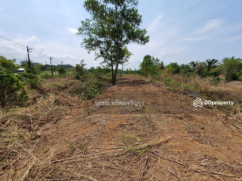 For Sale - ที่ดินเปล่า ต.บ่อ อ.ขลุง จ.จันทบุรี ติดถนนสุุุขุมวิท, Chanthaburi