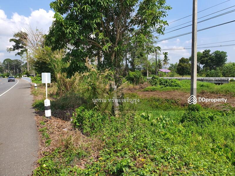 For Sale - ที่ดินเปล่า ต.บ่อ อ.ขลุง จ.จันทบุรี ติดถนนสุุุขุมวิท, Chanthaburi