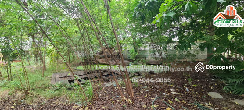 ที่ดินซอยอ่อนนุช (ใกล้เซ็นทรัล บางนา), Bangkok, อ่อนนุช, Suan Luang, Suan Luang, Bangkok, , 1,340 sqm, Land For Sale, by คุณหนึ่ง, 9551481 - DDproperty.com