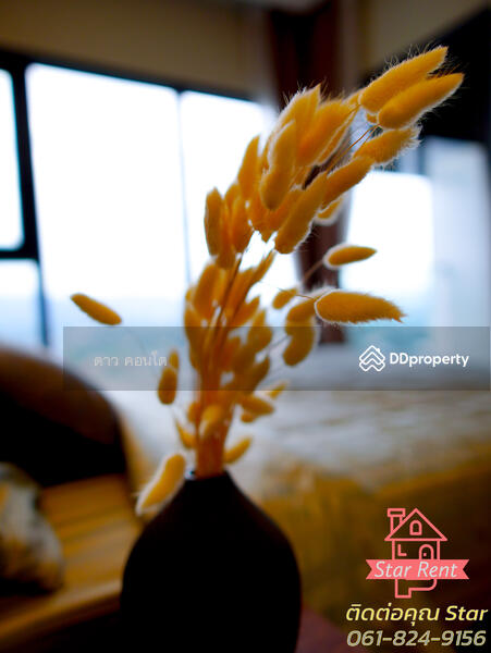 Infinity One Condominium : อินฟินิตี้ วัน คอนโดมิเนียม, ชลบุรี, ถนนสุขุมวิท, เสม็ด, เมืองชลบุรี, ชลบุรี, 33 ตร.ม., คอนโด ให้เช่า, โดย ณัฏฐ์ภัทรธร กันทรจิราเจตน์, 9552803 - DDproperty.com
