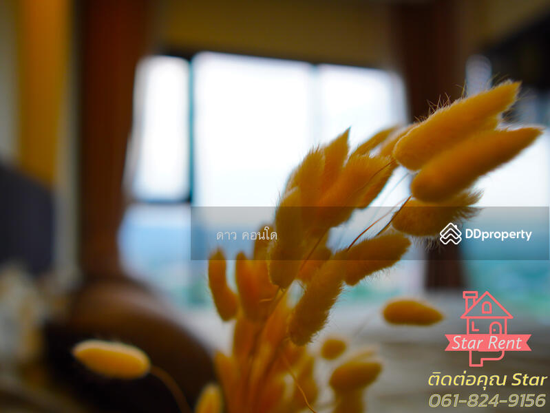 Infinity One Condominium : อินฟินิตี้ วัน คอนโดมิเนียม, ชลบุรี, ถนนสุขุมวิท, เสม็ด, เมืองชลบุรี, ชลบุรี, 33 ตร.ม., คอนโด ให้เช่า, โดย ณัฏฐ์ภัทรธร กันทรจิราเจตน์, 9552803 - DDproperty.com