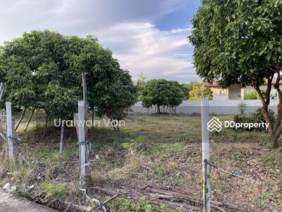 ขาย - ที่ดิน หางดง สันกลาง สันป่าตอง, เชียงใหม่
