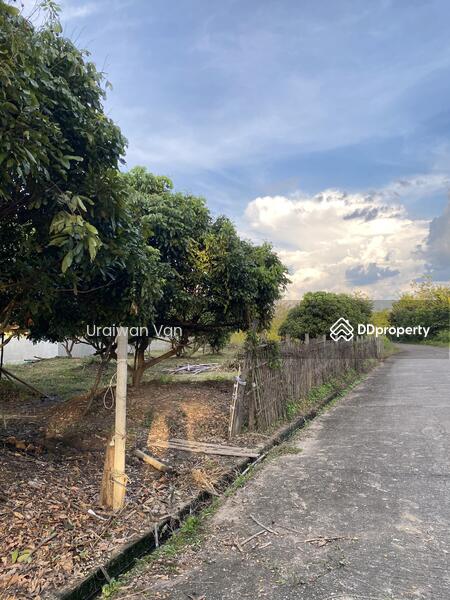 ที่ดิน หางดง สันกลาง สันป่าตอง, เชียงใหม่, หางดง, สันกลาง, สันป่าตอง, เชียงใหม่, 320 ตร.ม., ที่ดิน ขาย, โดย Uraiwan V., 9553206 - DDproperty.com