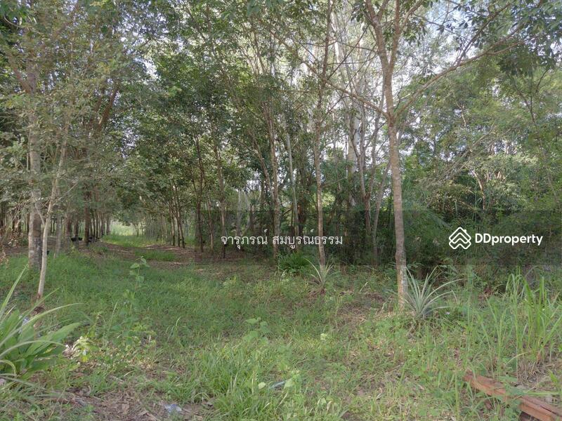 รูป ถ่ายเมื่อ 5 ต.ค .2565