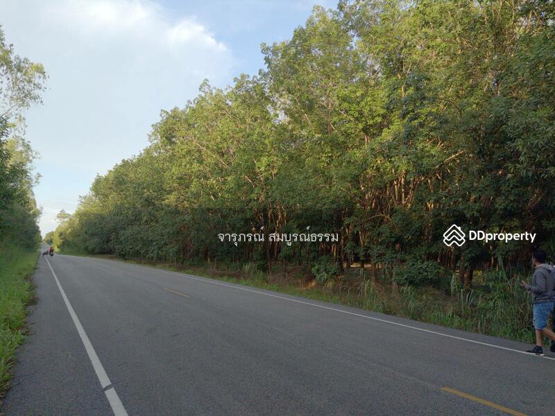 ทางหลวงชนบทหนองคาย 3002