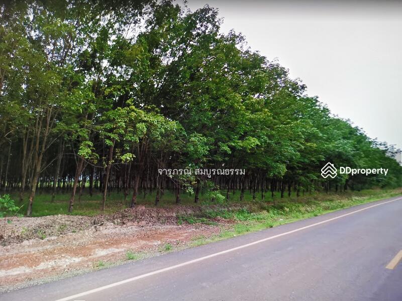 หน้าติดถนนหนองคาย 3002