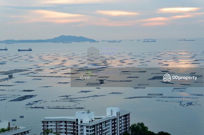 ขาย - Yuu Sriracha : ยู ศรีราชา, ชลบุรี