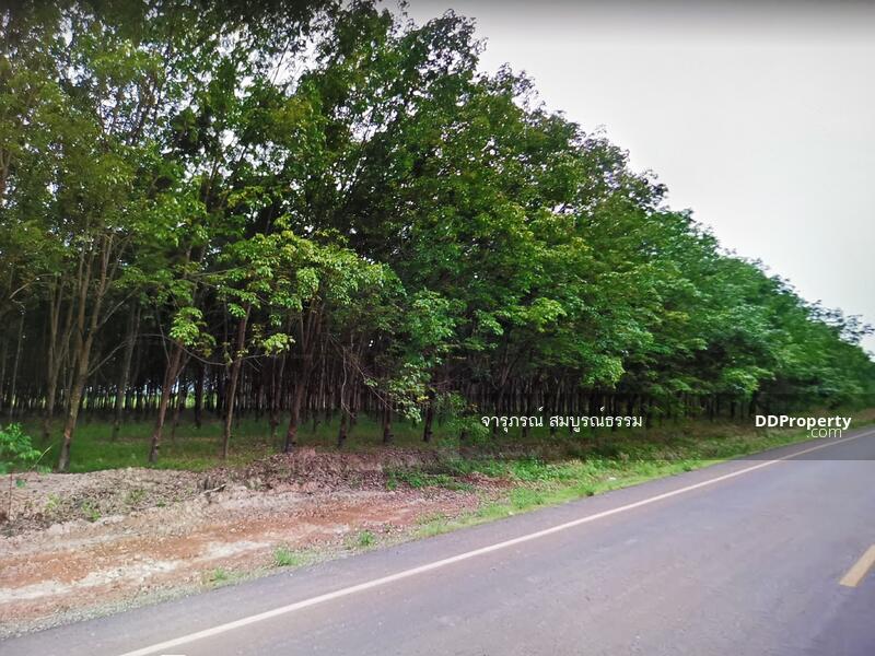 ถนน บก.3002 (หนองคาย 3002 เดิม)