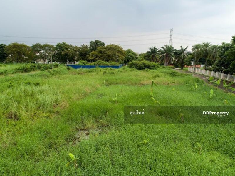 ขายที่ดินเปล่า โครงปัญจทรัพย์ พาร์ค ปิ่นเกล้า พื้นที่ 80 ตรว. 