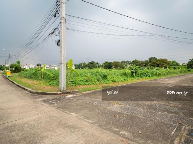 ขายที่ดินเปล่า โครงปัญจทรัพย์ พาร์ค ปิ่นเกล้า 160 ตรว. 